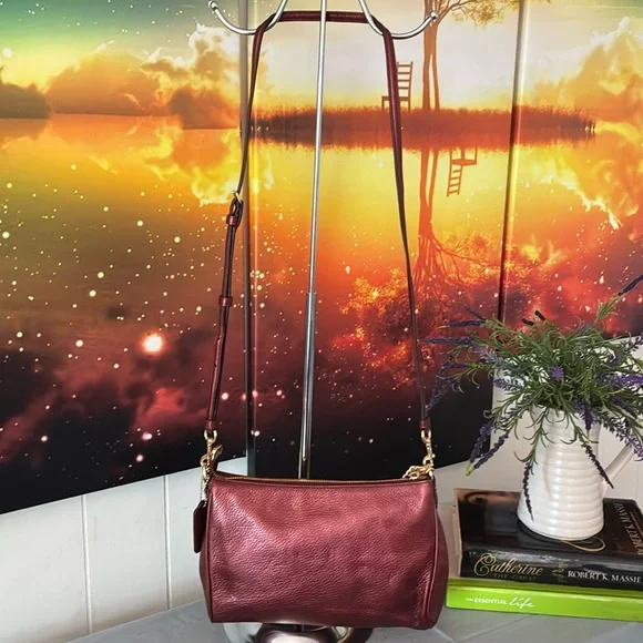 Coach Carrie Burgundy Leather Crossbody - Picture 5 of 11